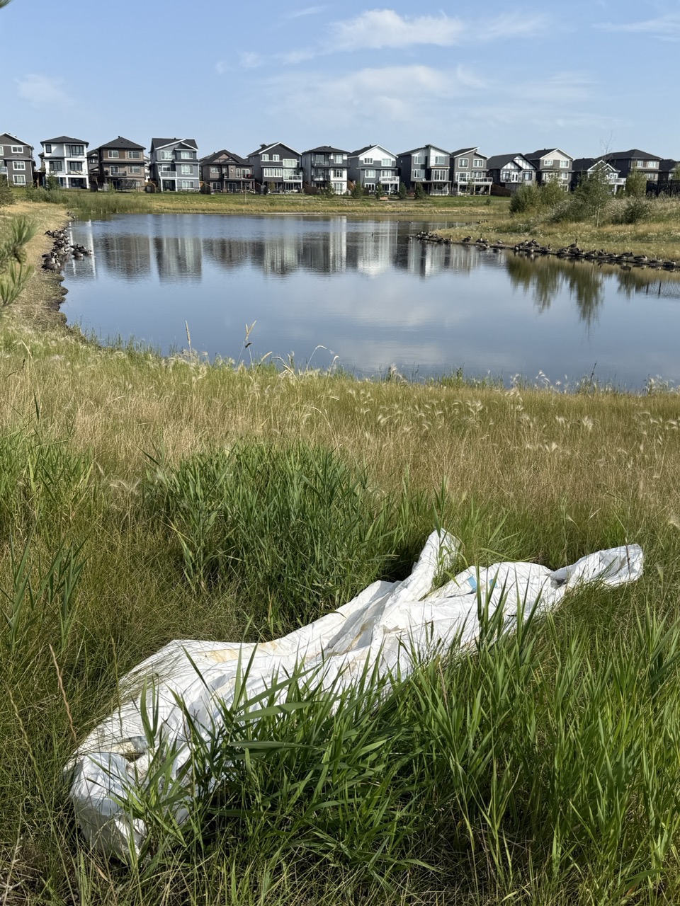 Homewrap next to pond, Erin Ridge North