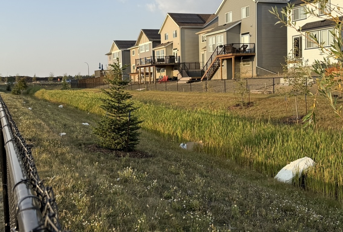 Photo of construction waste